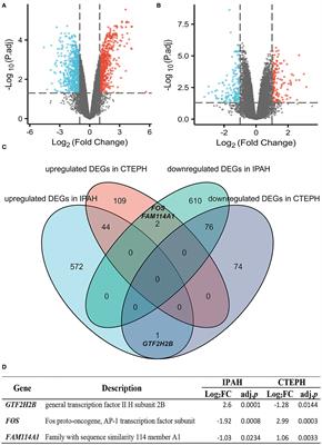 Novel hub genes associated with pulmonary artery remodeling in pulmonary hypertension